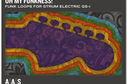 Oh My Funkness! loop bank for Strum Electric GS-1